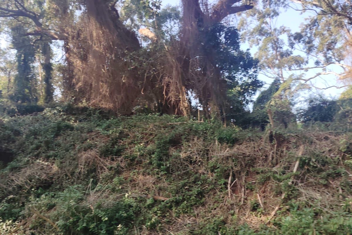 Prime Vacant Land For Sale in Seaton Estate, Ballito - Photo 4