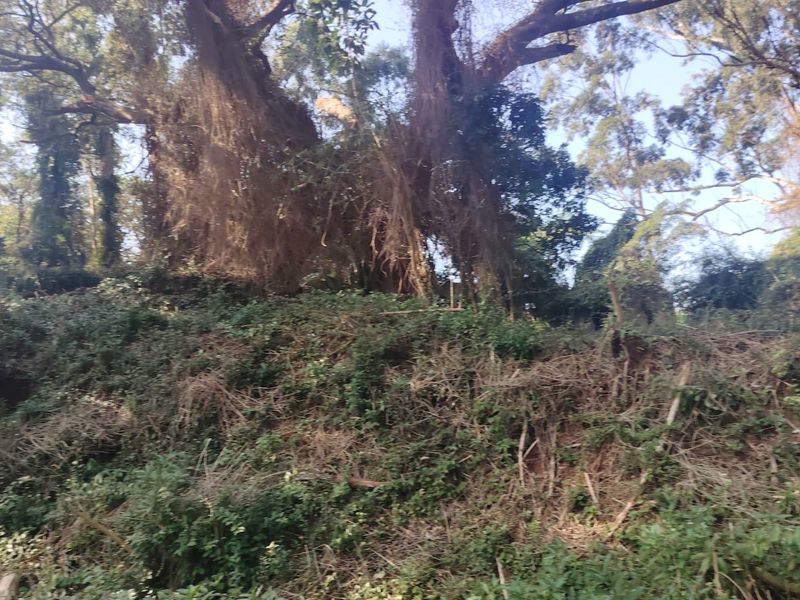 Prime Vacant Land For Sale in Seaton Estate, Ballito - Photo 4