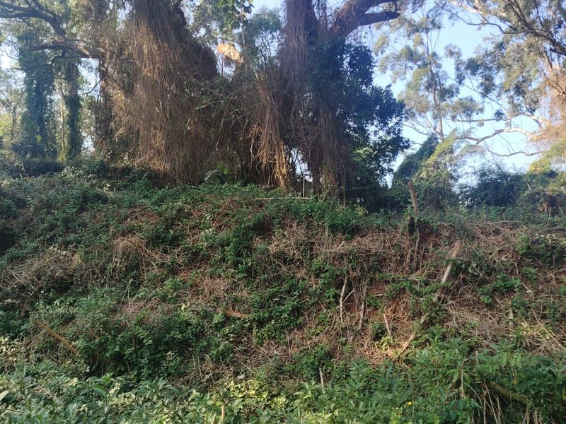 Prime Vacant Land For Sale in Seaton Estate, Ballito - Photo 10