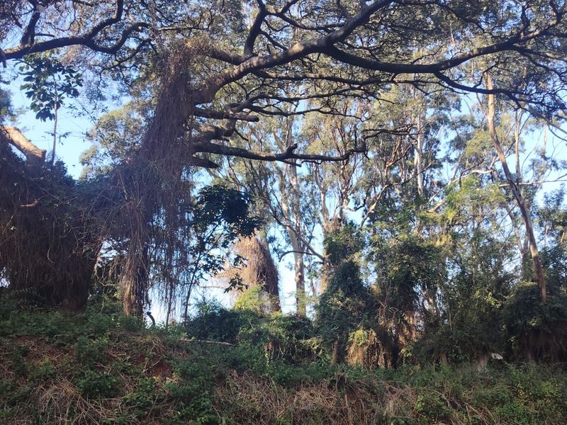 Prime Vacant Land For Sale in Seaton Estate, Ballito - Photo 9