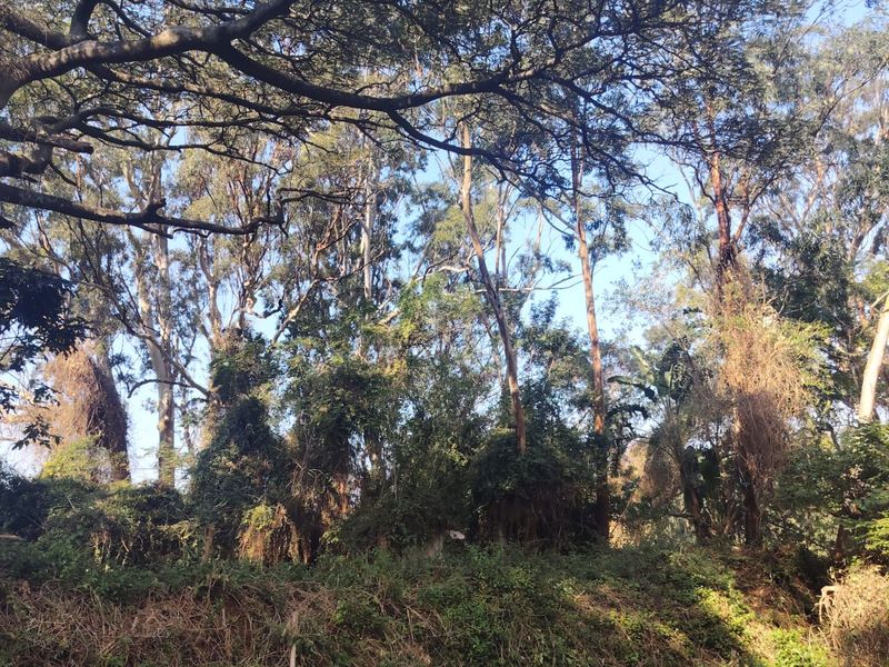 Prime Vacant Land For Sale in Seaton Estate, Ballito - Photo 8
