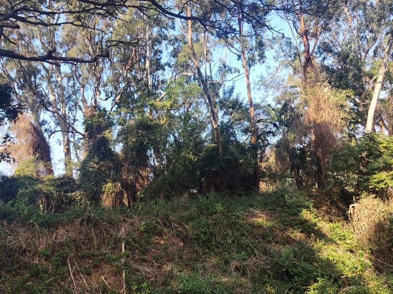 Prime Vacant Land For Sale in Seaton Estate, Ballito - Photo 7