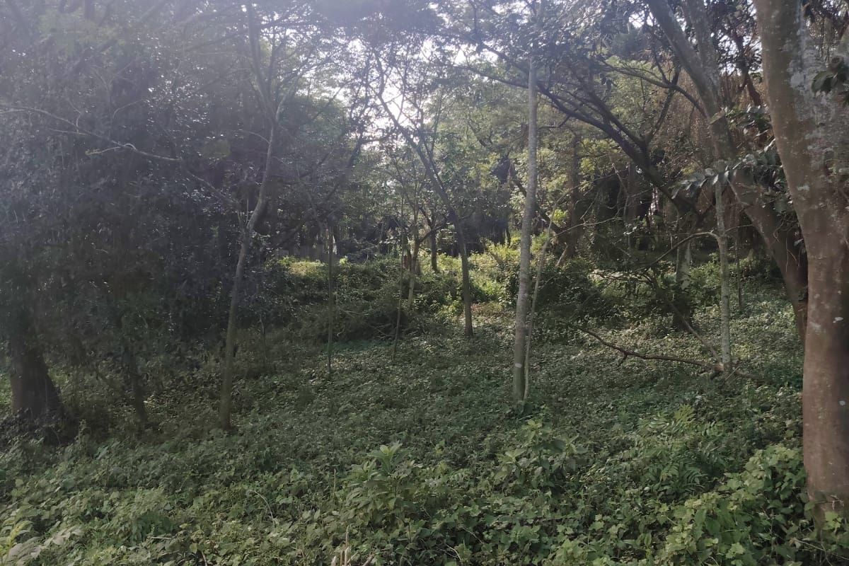 Exclusive Vacant Land in Seaton Estate, Ballito – Secure Your Coastal Lifestyle - Photo 5