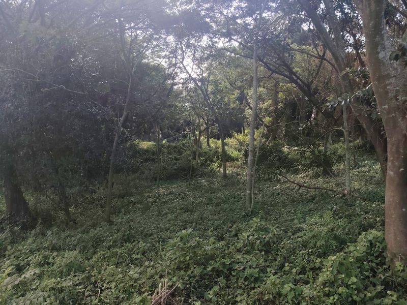 Exclusive Vacant Land in Seaton Estate, Ballito – Secure Your Coastal Lifestyle - Photo 5