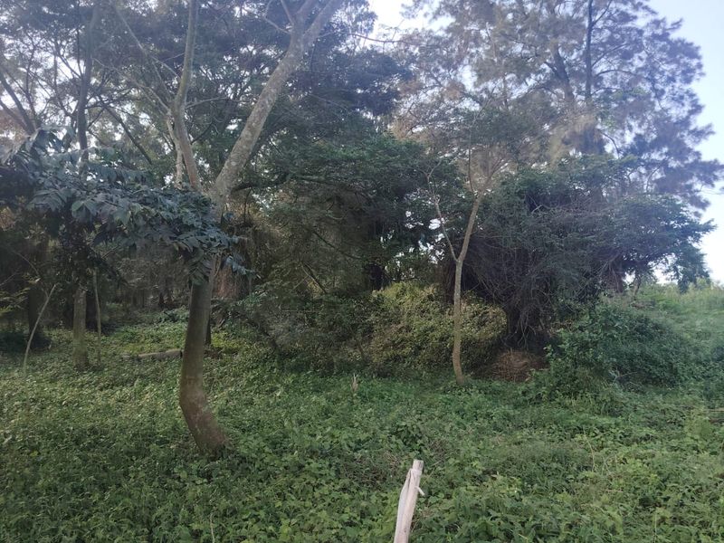 Exclusive Vacant Land in Seaton Estate, Ballito – Secure Your Coastal Lifestyle - Photo 7
