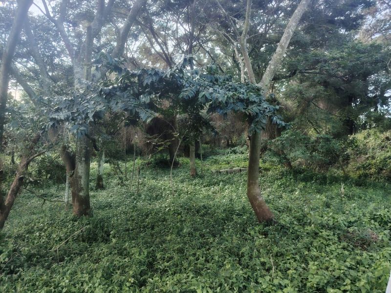 Exclusive Vacant Land in Seaton Estate, Ballito – Secure Your Coastal Lifestyle - Photo 6