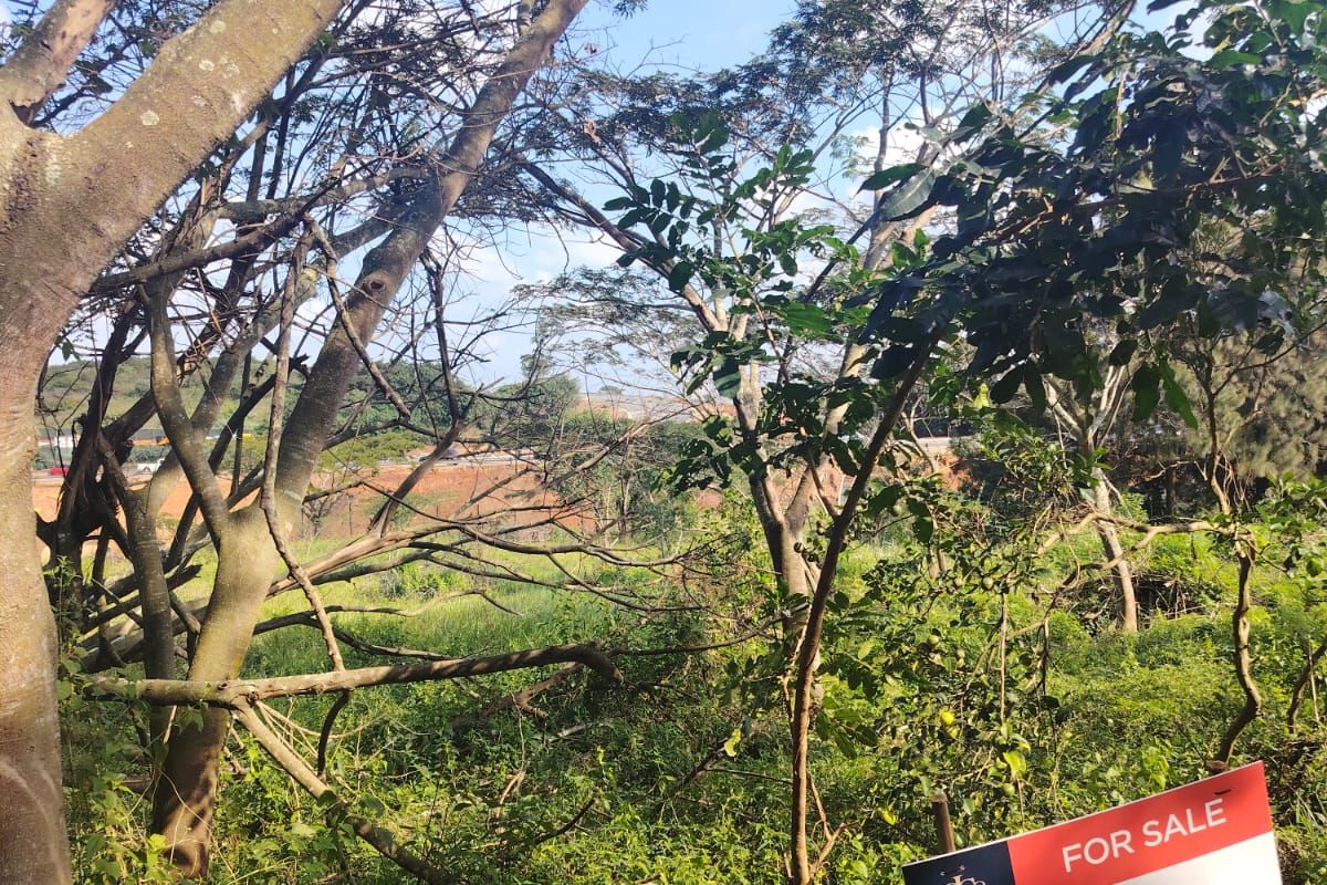 Prime Vacant Stand in Seaton Estate, Ballito – Where Coastal Luxury Meets Nature - Photo 2