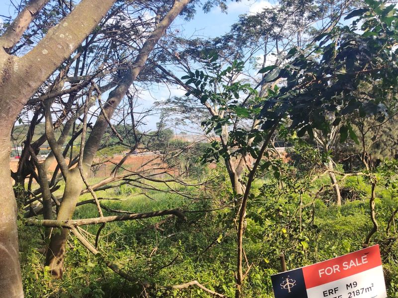 Prime Vacant Stand in Seaton Estate, Ballito – Where Coastal Luxury Meets Nature - Photo 2