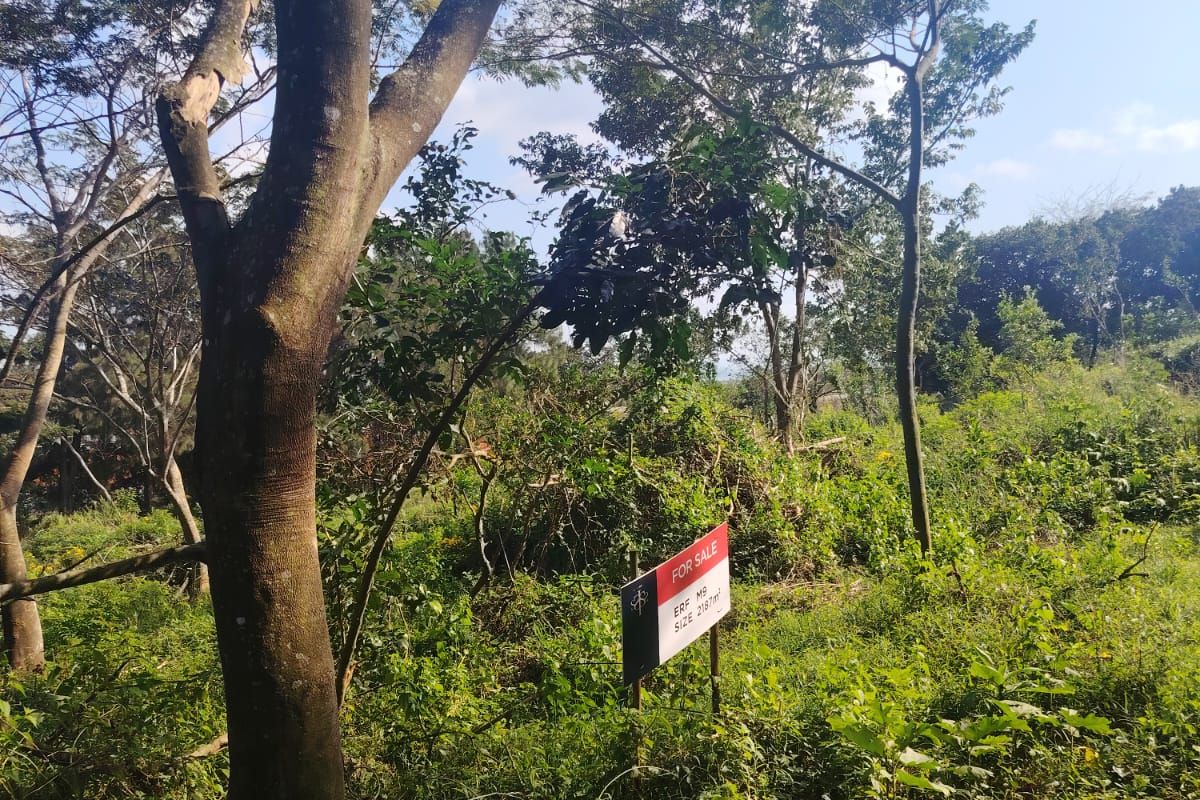 Prime Vacant Stand in Seaton Estate, Ballito – Where Coastal Luxury Meets Nature - Photo 4