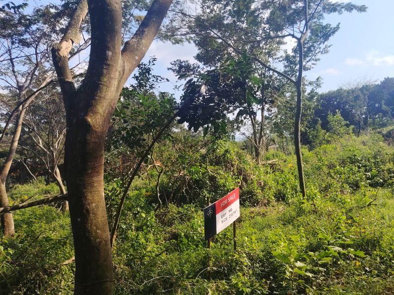 Prime Vacant Stand in Seaton Estate, Ballito – Where Coastal Luxury Meets Nature - Photo 4