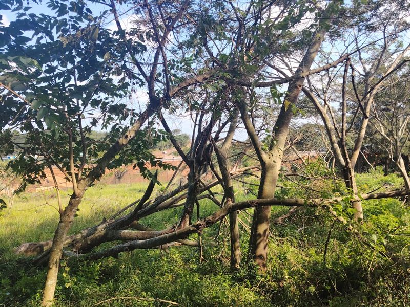 Prime Vacant Stand in Seaton Estate, Ballito – Where Coastal Luxury Meets Nature - Photo 10