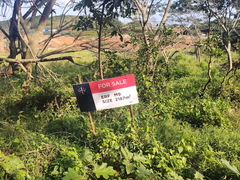 Prime Vacant Stand in Seaton Estate, Ballito – Where Coastal Luxury Meets Nature - Photo 8