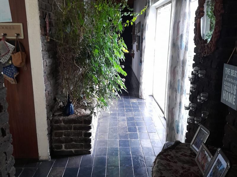 Established Prickly Pear Farm with Multiple Dwellings & Income Potential in Mooilande AH. - Photo 8