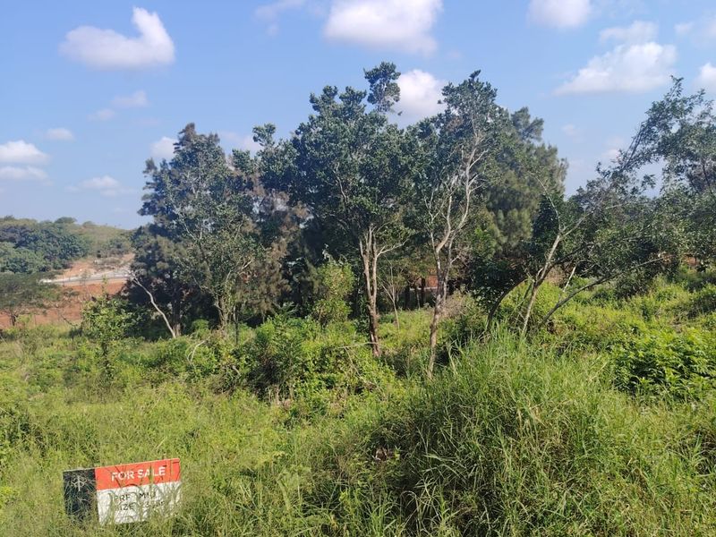 Prime Vacant Land For Sale in Seaton Estate – Build Your Dream Coastal Home - Photo 2