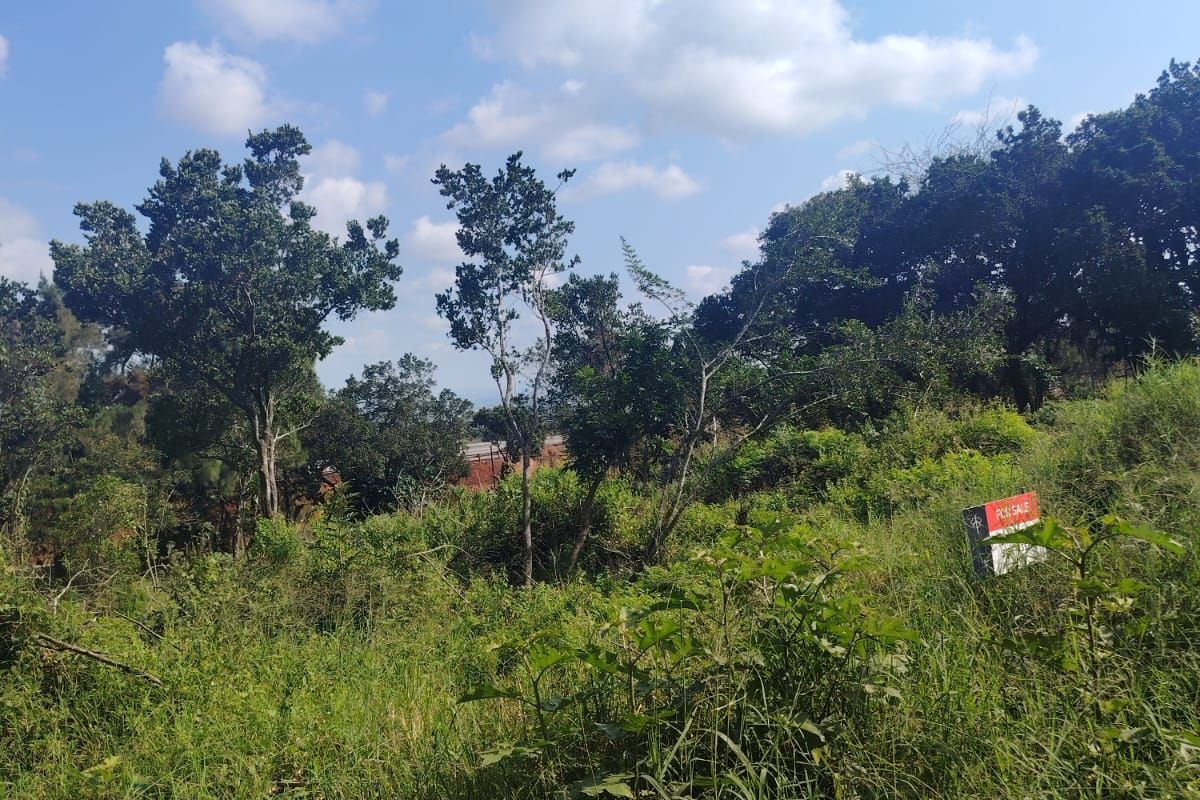 Prime Vacant Land For Sale in Seaton Estate – Build Your Dream Coastal Home - Photo 4