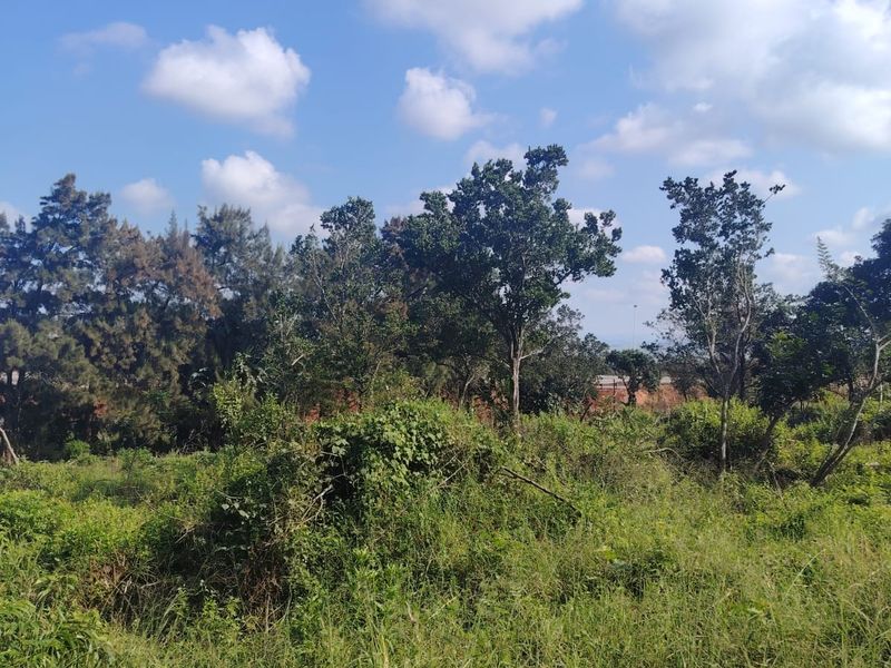Prime Vacant Land For Sale in Seaton Estate – Build Your Dream Coastal Home - Photo 9