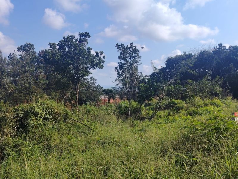 Prime Vacant Land For Sale in Seaton Estate – Build Your Dream Coastal Home - Photo 8