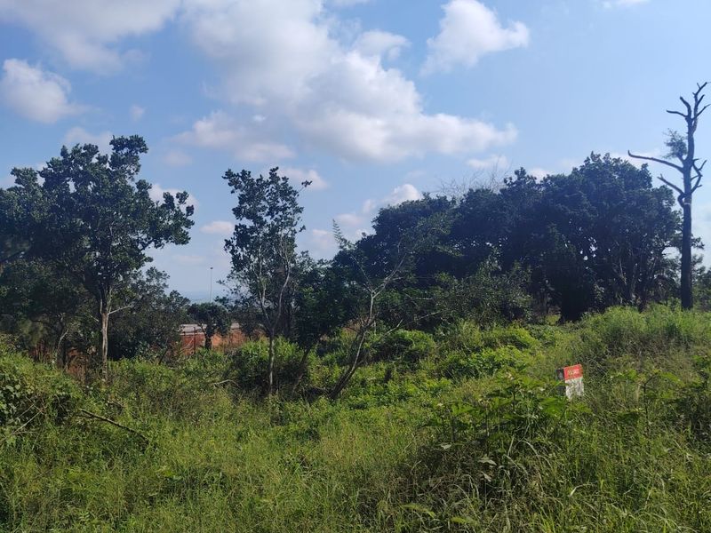 Prime Vacant Land For Sale in Seaton Estate – Build Your Dream Coastal Home - Photo 7