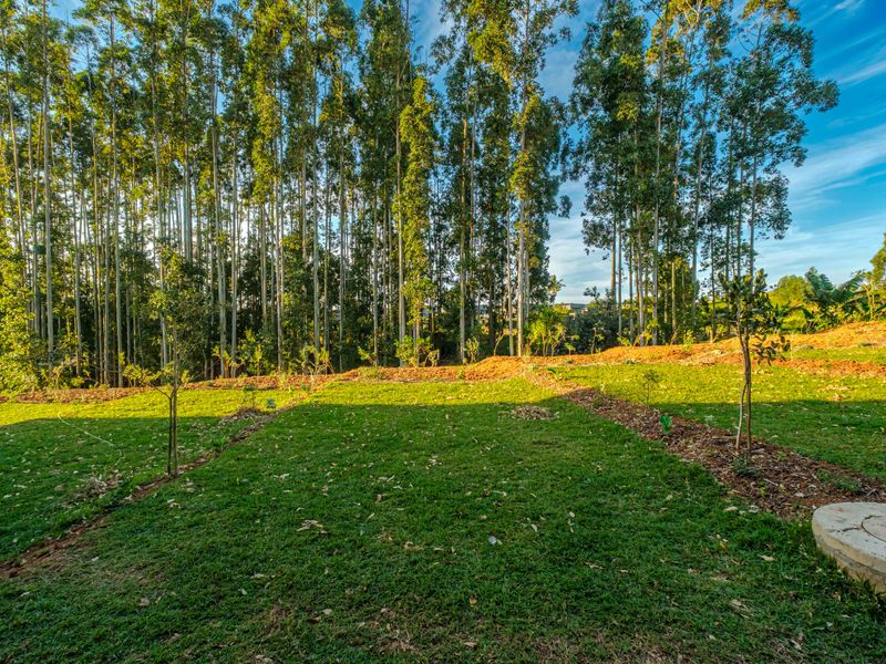 The Woods, Elaleni Coastal Forest Estate - Photo 7