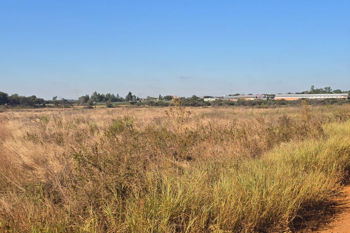 9 Hectare Vacant Land FOR SALE! - Photo 4