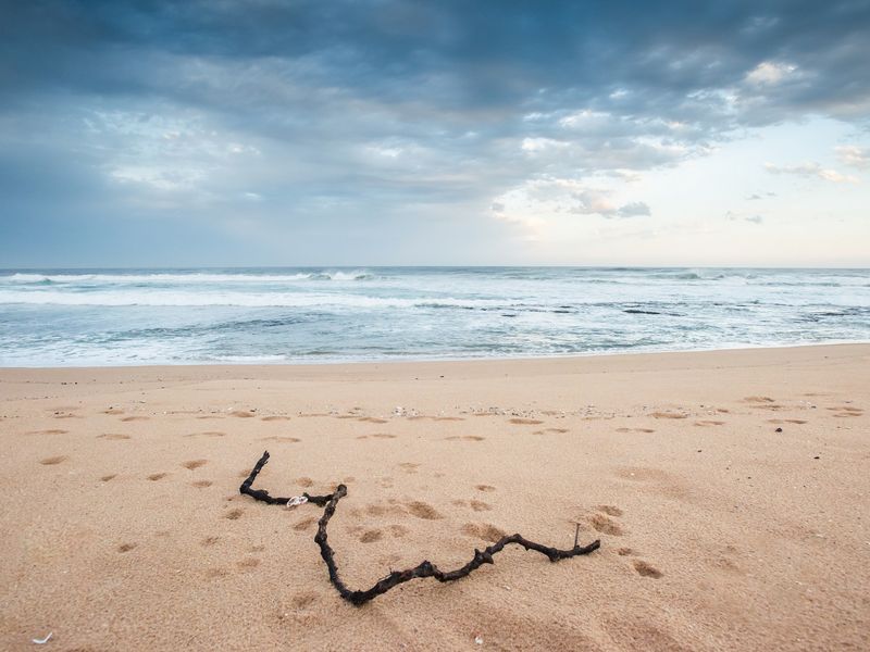 Exclusive Vacant Stand for Sale in Seaton Estate, Ballito – Luxury North Coast Living Starts Here - Photo 7