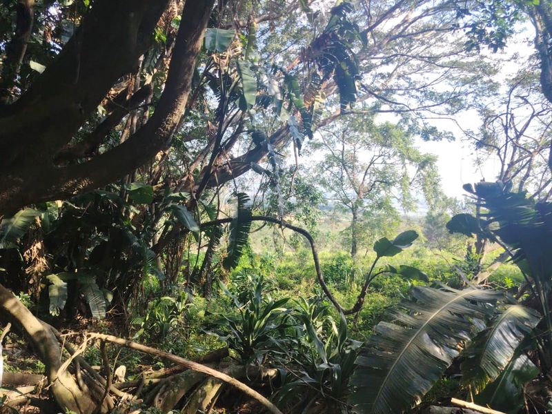 Prime Vacant Land for Sale in Seaton Estate – Create Your Luxury Coastal Lifestyle - Photo 9