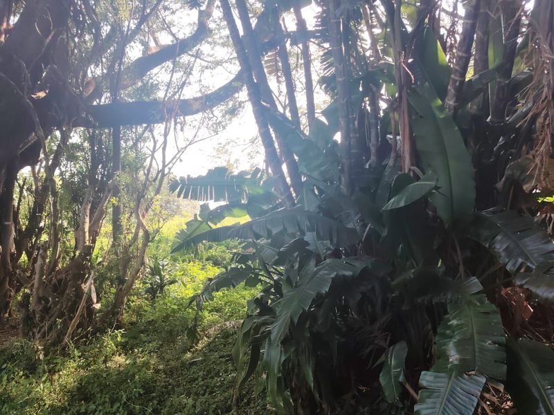Prime Vacant Land for Sale in Seaton Estate – Create Your Luxury Coastal Lifestyle - Photo 7