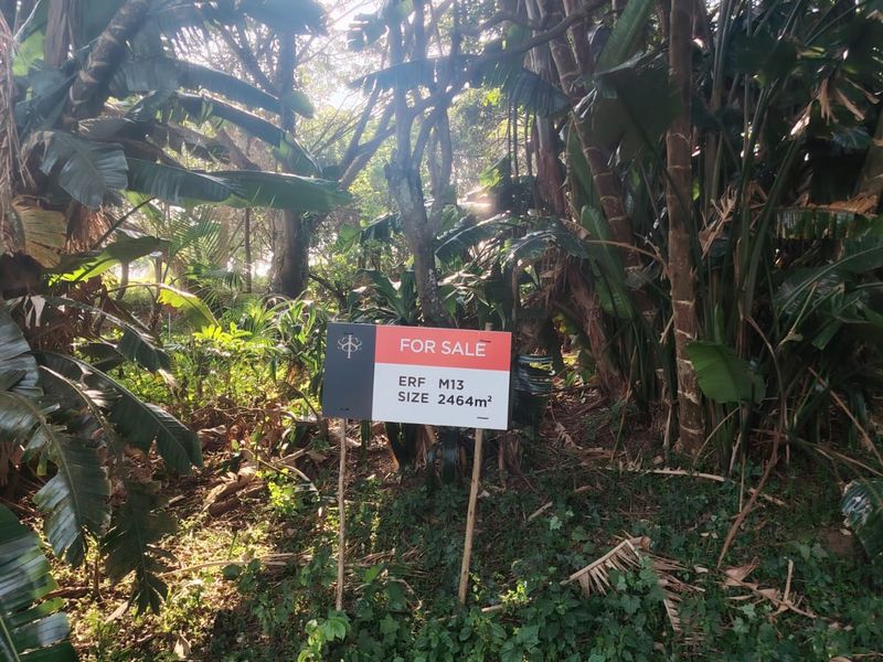 Prime Vacant Land for Sale in Seaton Estate – Create Your Luxury Coastal Lifestyle - Photo 8