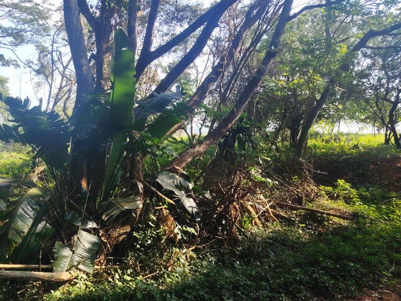 Prime Vacant Land for Sale in Seaton Estate – Create Your Luxury Coastal Lifestyle - Photo 4