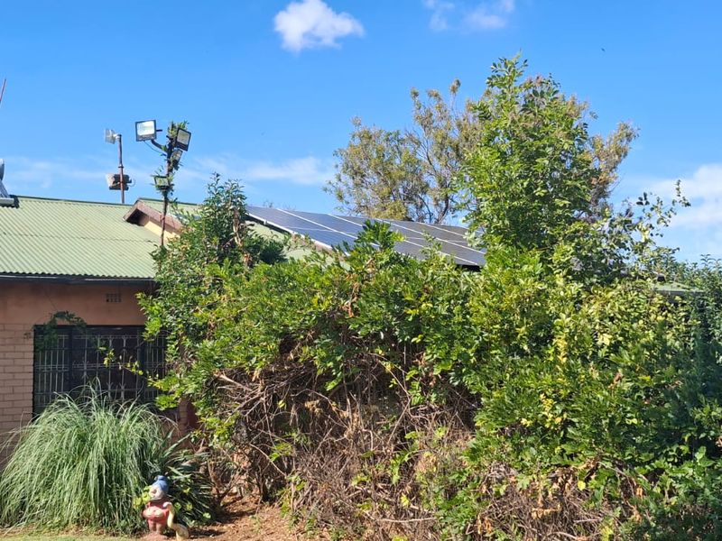 Off-Grid Lifestyle and Agricultural Opportunity - Photo 3