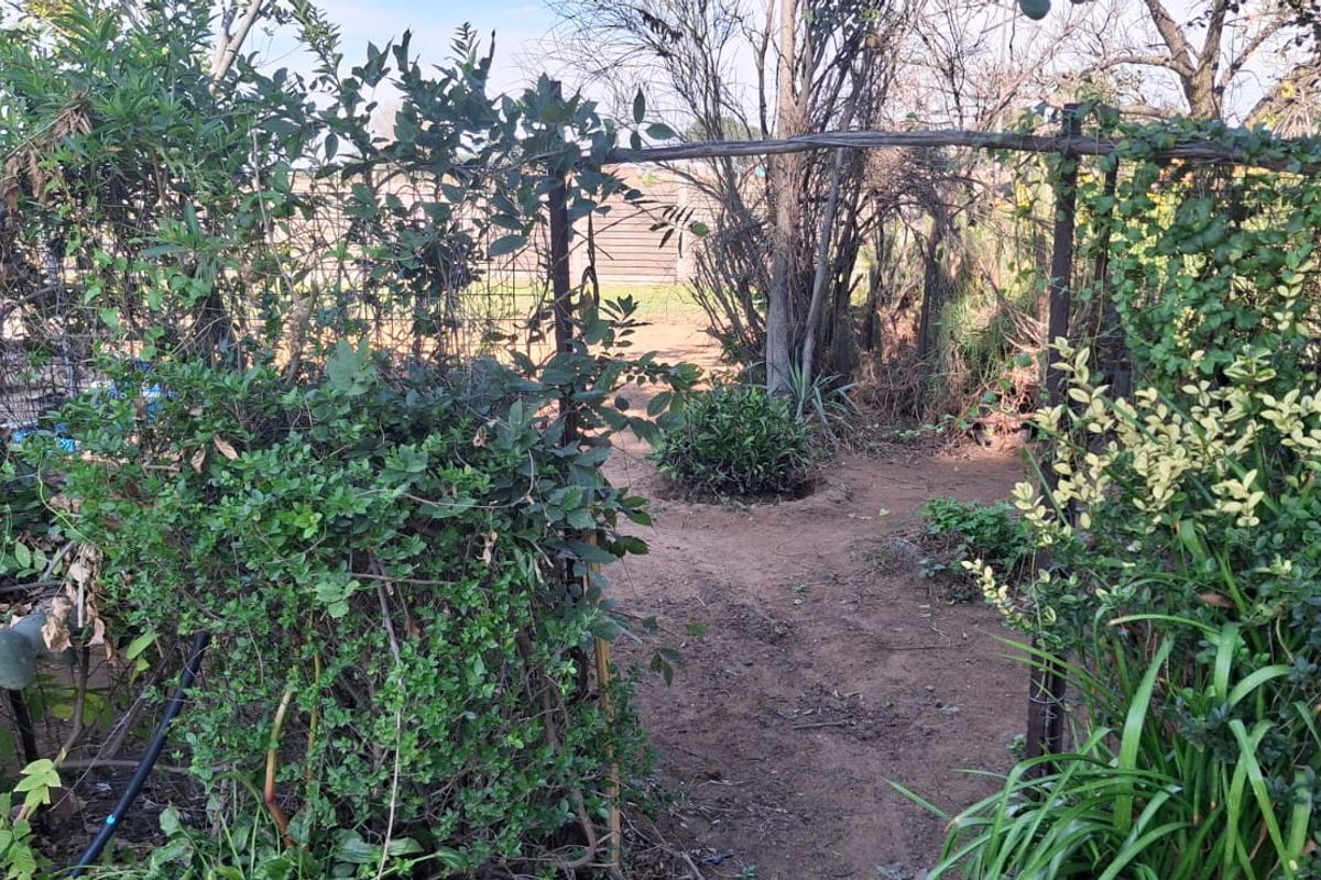 Off-Grid Lifestyle and Agricultural Opportunity - Photo 4