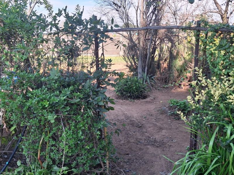 Off-Grid Lifestyle and Agricultural Opportunity - Photo 4