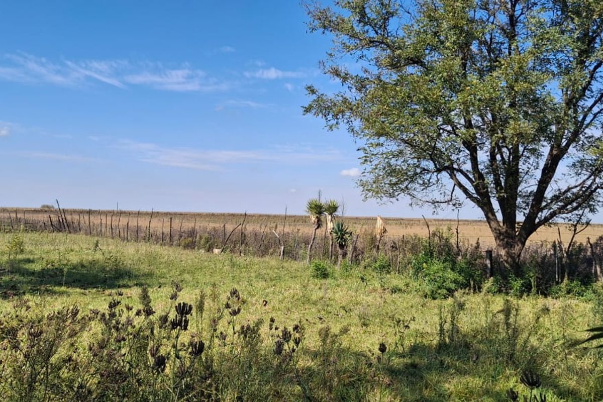 Off-Grid Lifestyle and Agricultural Opportunity - Photo 2