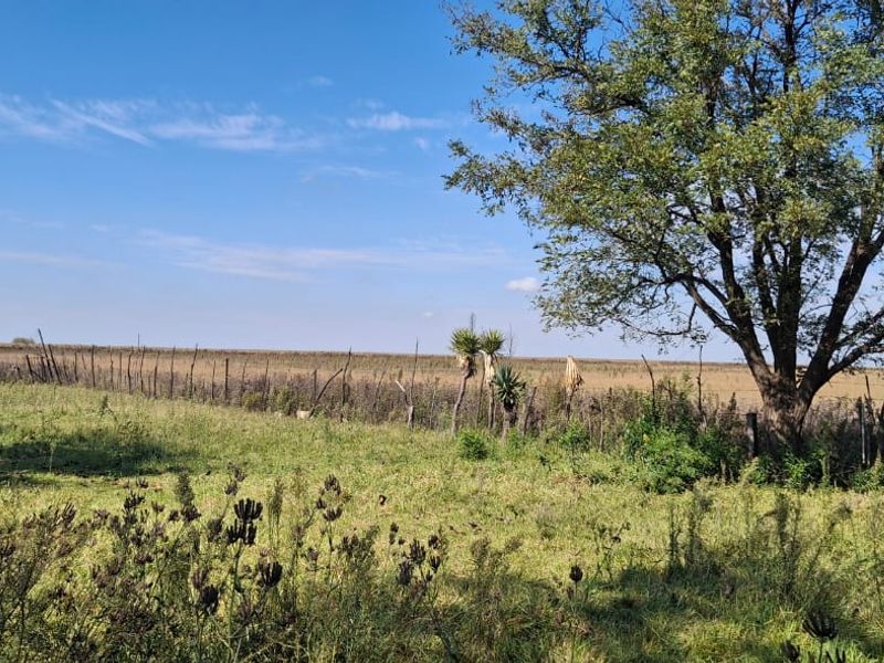 Off-Grid Lifestyle and Agricultural Opportunity - Photo 2