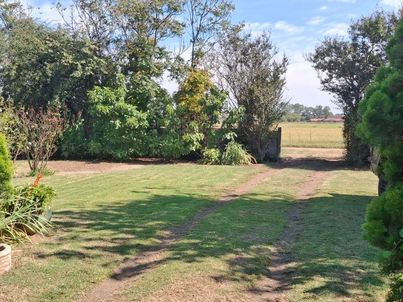 Off-Grid Lifestyle and Agricultural Opportunity - Photo 9
