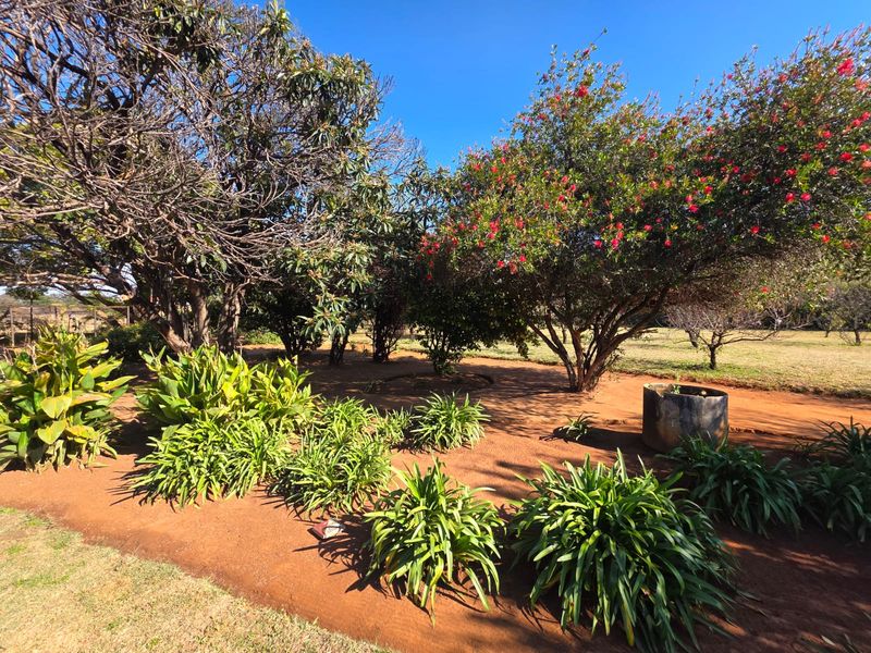 PLOT FOR SALE IN STEPHANO PARK - Photo 5