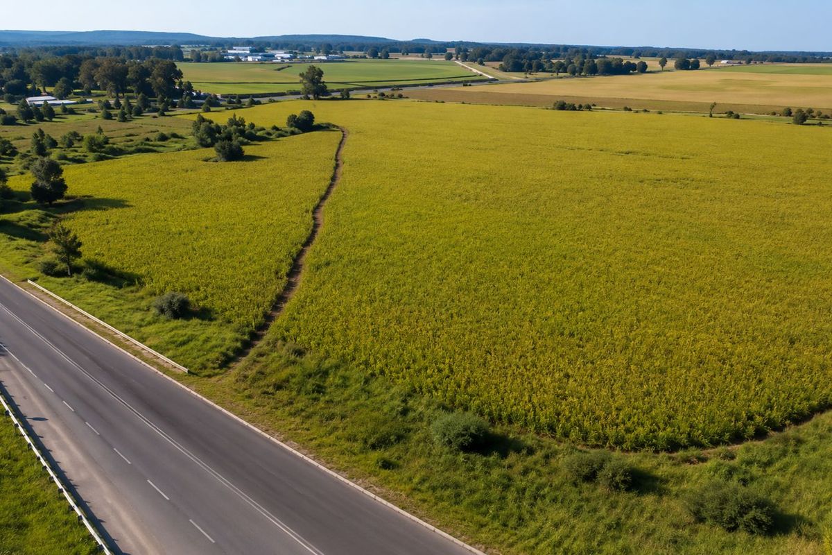 Agricultural Farm Portion For Sale – Meyerton. - Photo 4