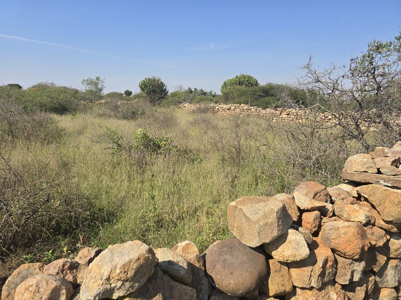 Prime Livestock Farm for Sale - Photo 1