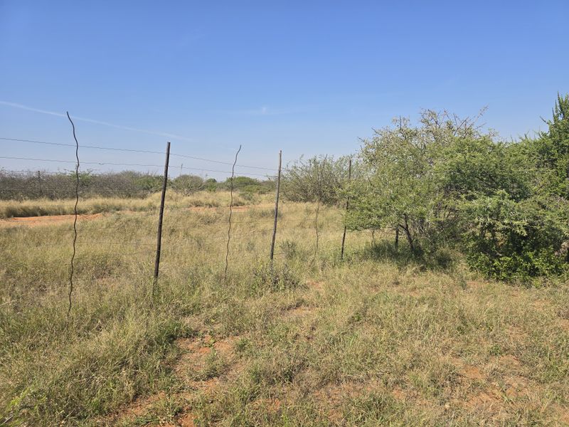 Prime Livestock Farm for Sale - Photo 10