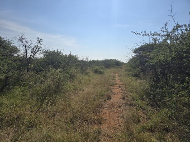 Prime Livestock Farm for Sale - Photo 9