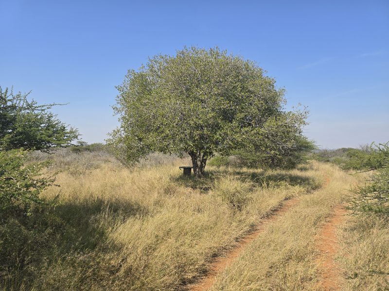 Prime Livestock Farm for Sale - Photo 7