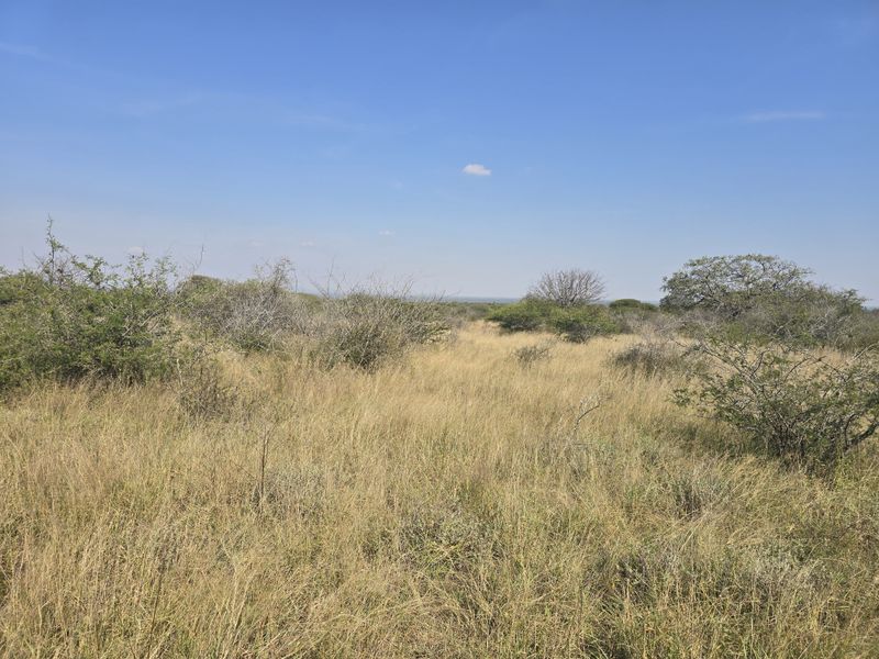 Prime Livestock Farm for Sale - Photo 6