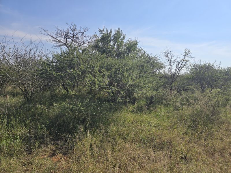 Prime Livestock Farm for Sale - Photo 8