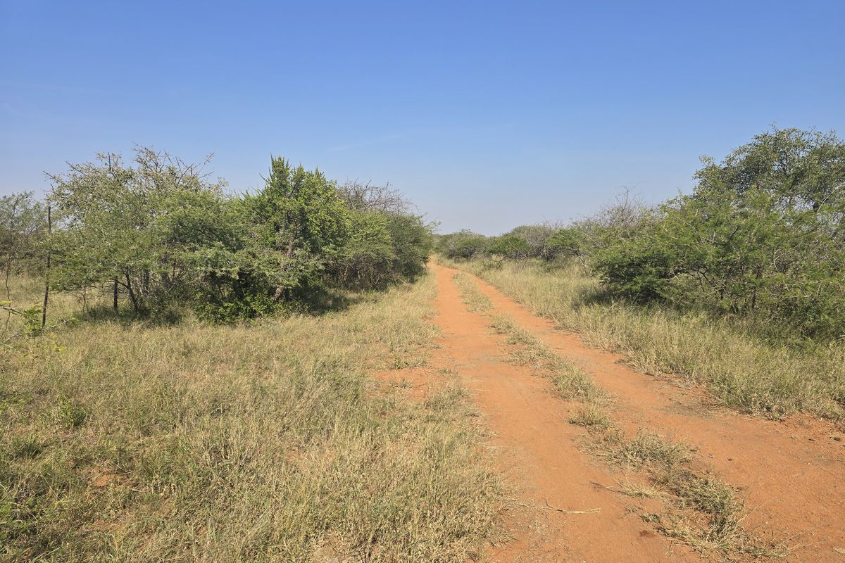 Prime Livestock Farm for Sale - Photo 4