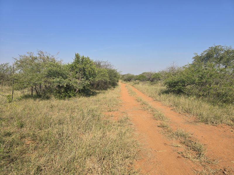 Prime Livestock Farm for Sale - Photo 4