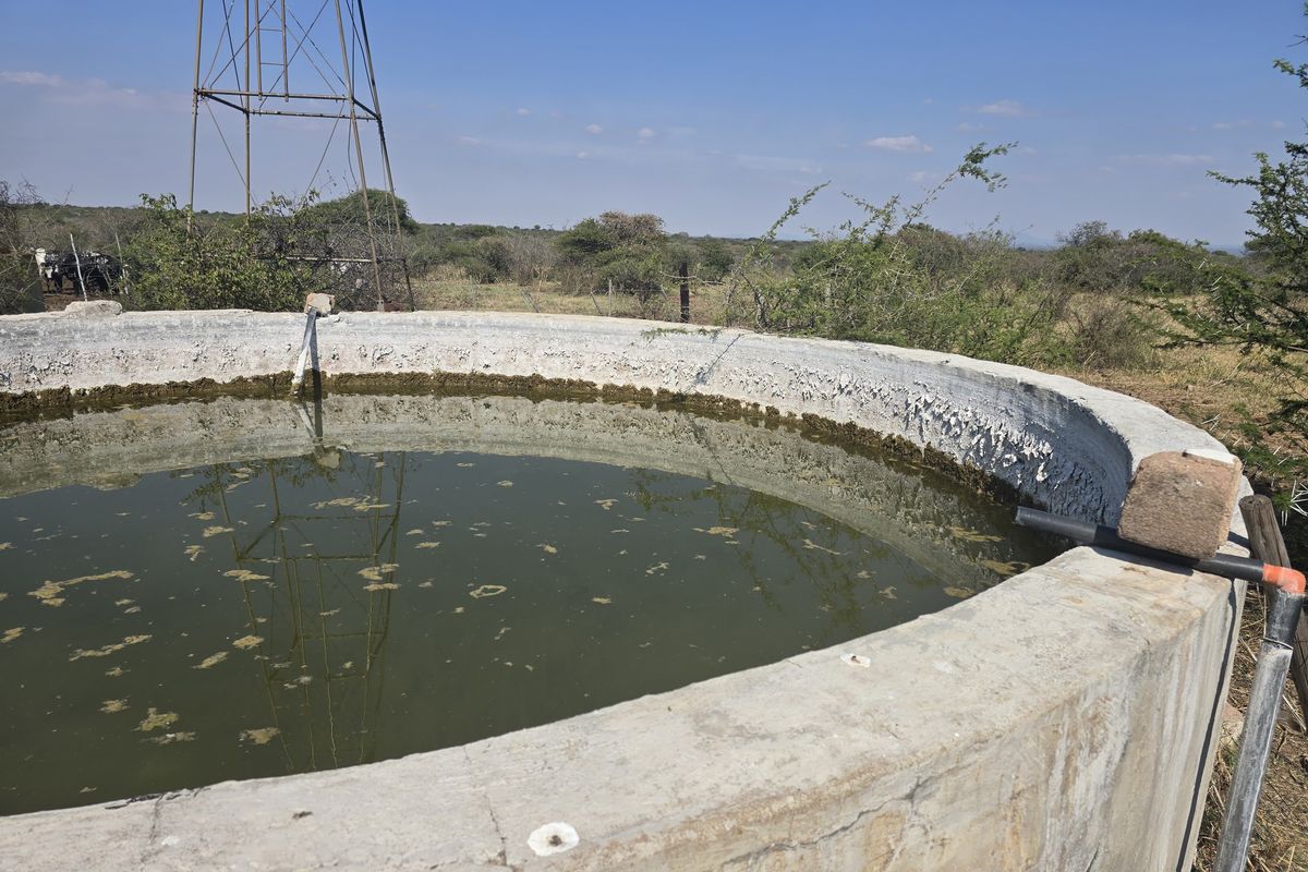 Prime Livestock Farm for Sale - Photo 2
