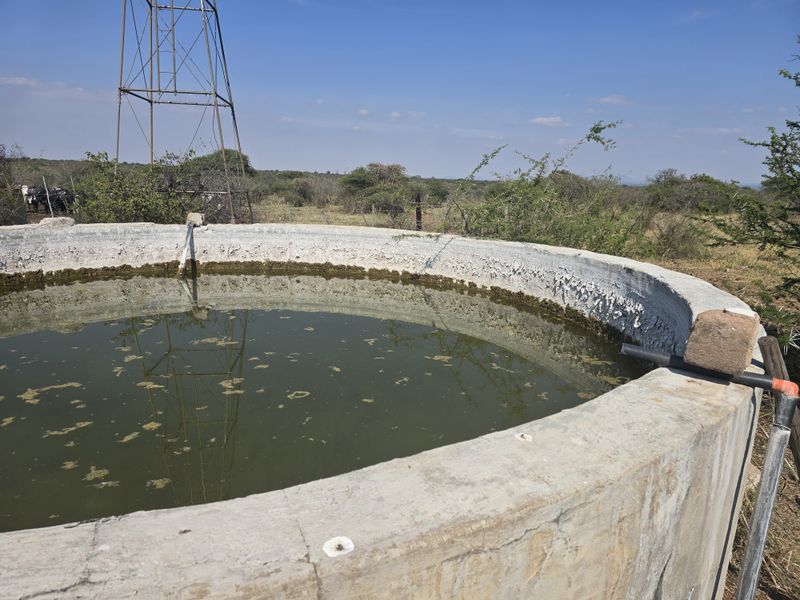 Prime Livestock Farm for Sale - Photo 2