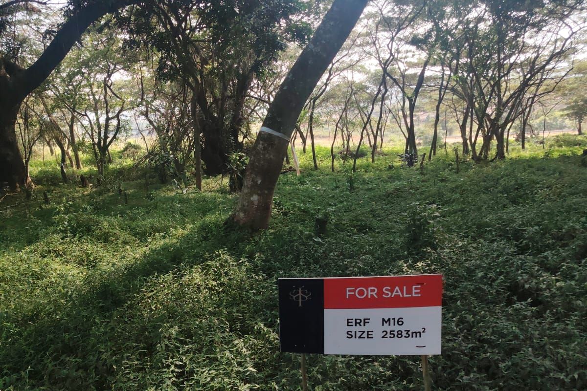 Build Your Dream Home in Prestigious Seaton Estate, Ballito - Photo 2