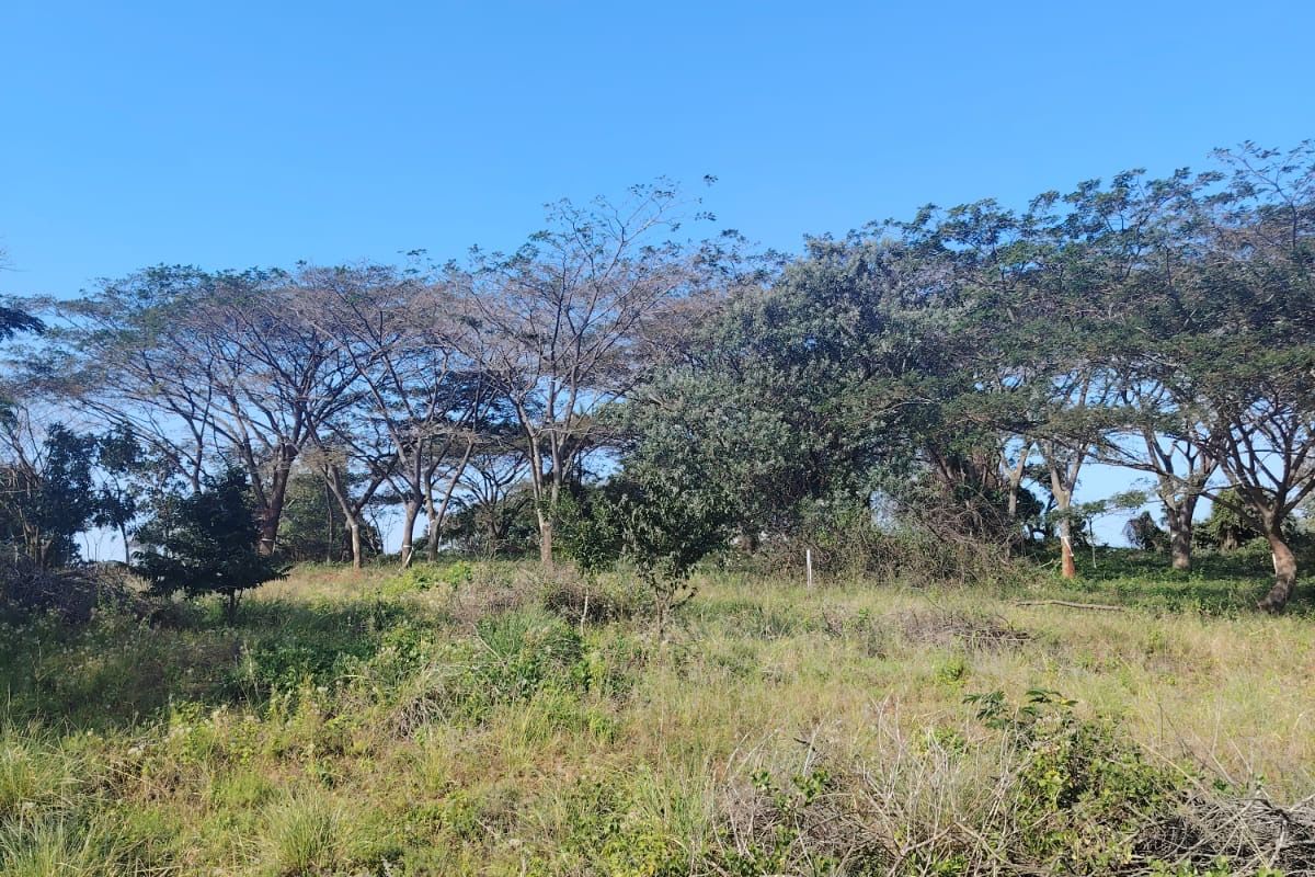 Prime Vacant Land for Sale in Seaton Estate – Create the Lifestyle You've Always Wanted - Photo 5