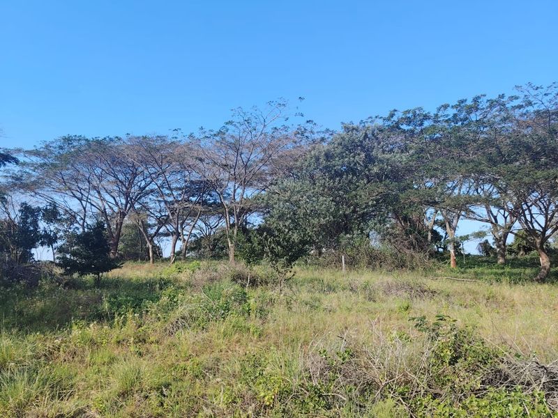Prime Vacant Land for Sale in Seaton Estate – Create the Lifestyle You've Always Wanted - Photo 5